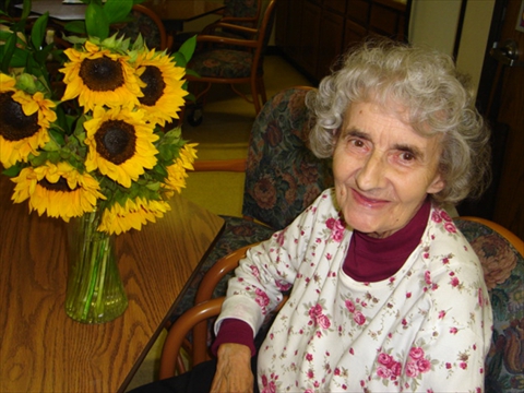 neighbors3 neighbors3